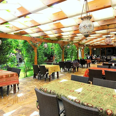 Bed and Breakfast Venus