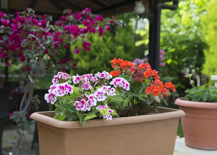 Venus Bed & Breakfast 4*